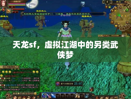 天龙sf，虚拟江湖中的另类武侠梦