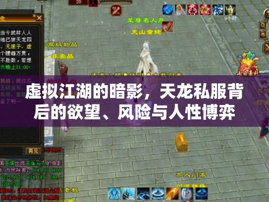 虚拟江湖的暗影，天龙私服背后的欲望、风险与人性博弈