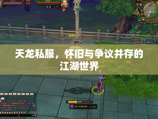 天龙私服，怀旧与争议并存的江湖世界