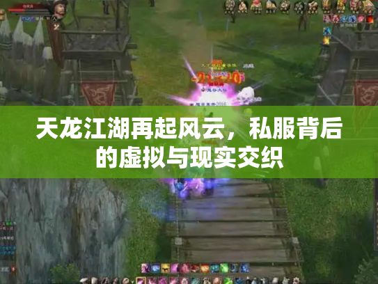 天龙江湖再起风云，私服背后的虚拟与现实交织