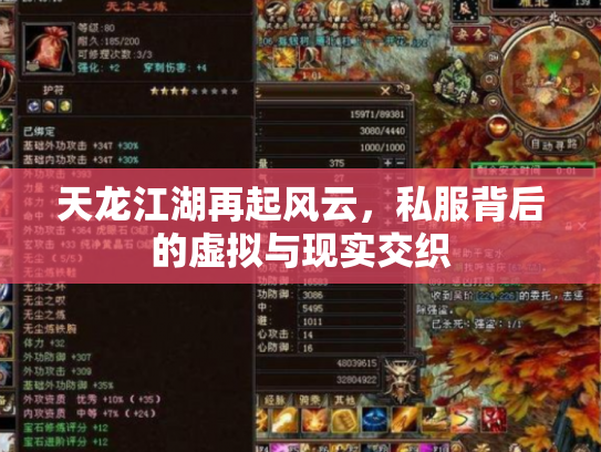 天龙江湖再起风云，私服背后的虚拟与现实交织