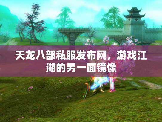 天龙八部私服发布网，游戏江湖的另一面镜像