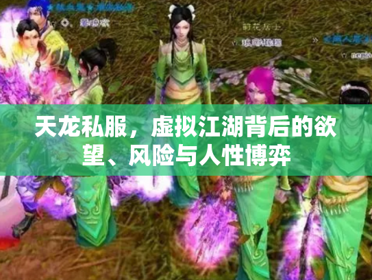 天龙私服，虚拟江湖背后的欲望、风险与人性博弈