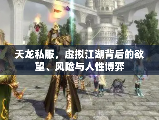 天龙私服，虚拟江湖背后的欲望、风险与人性博弈