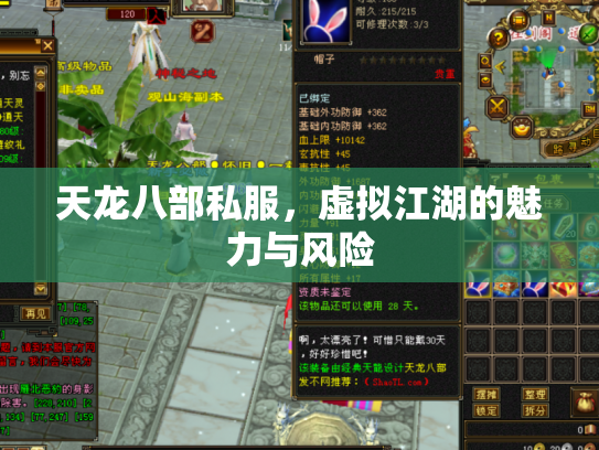 天龙八部私服，虚拟江湖的魅力与风险