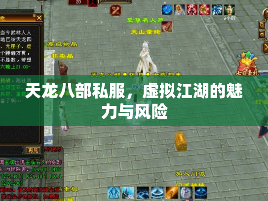 天龙八部私服，虚拟江湖的魅力与风险