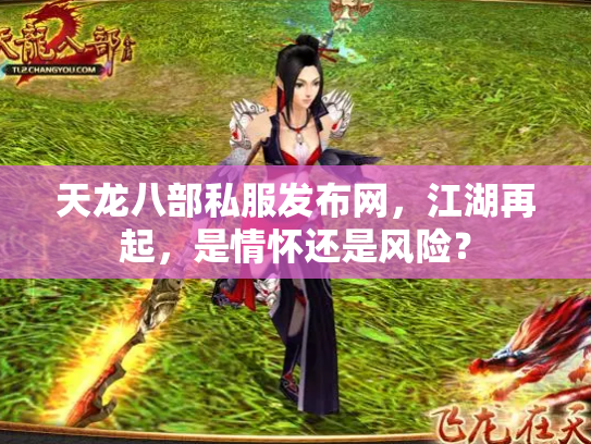 天龙八部私服发布网，江湖再起，是情怀还是风险？