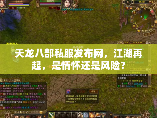 天龙八部私服发布网，江湖再起，是情怀还是风险？