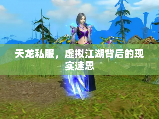 天龙私服，虚拟江湖背后的现实迷思