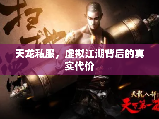 天龙私服，虚拟江湖背后的真实代价