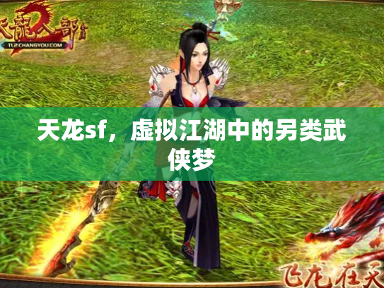 天龙sf，虚拟江湖中的另类武侠梦