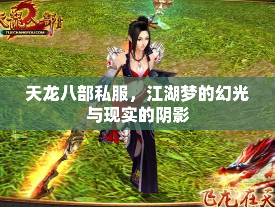 天龙八部私服，江湖梦的幻光与现实的阴影