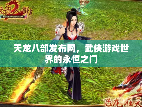 天龙八部发布网，武侠游戏世界的永恒之门