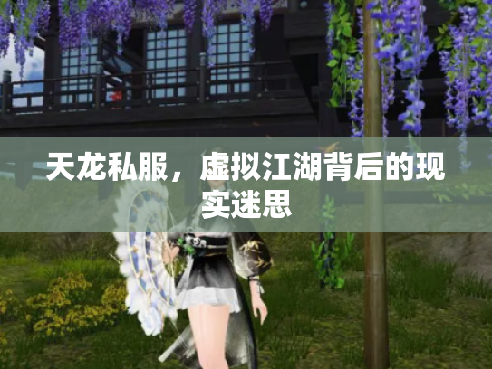 天龙私服，虚拟江湖背后的现实迷思
