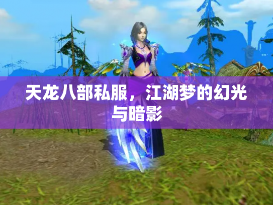 天龙八部私服，江湖梦的幻光与暗影