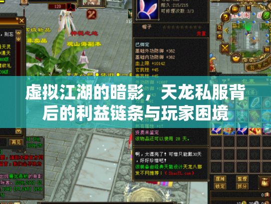 虚拟江湖的暗影，天龙私服背后的利益链条与玩家困境