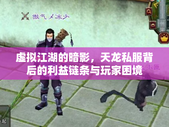 虚拟江湖的暗影，天龙私服背后的利益链条与玩家困境
