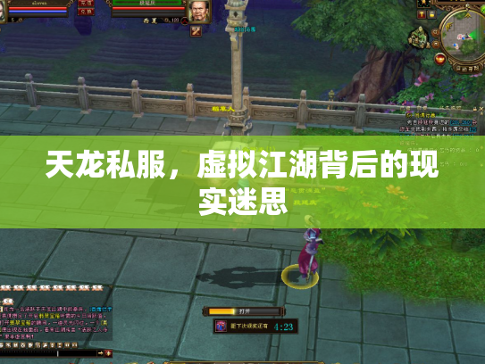 天龙私服，虚拟江湖背后的现实迷思