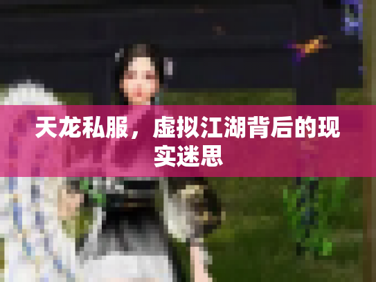 天龙私服，虚拟江湖背后的现实迷思