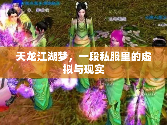天龙江湖梦，一段私服里的虚拟与现实