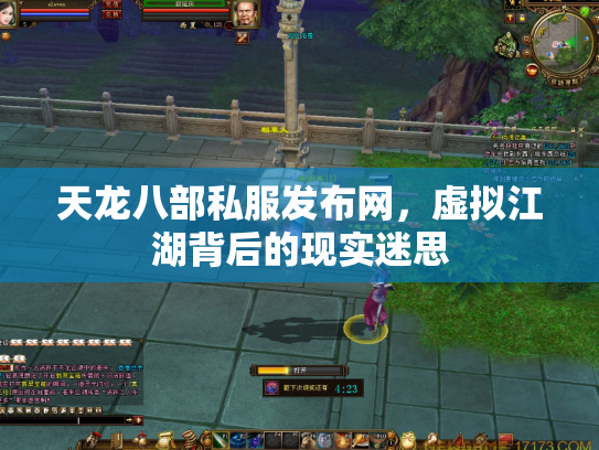 天龙八部私服发布网，虚拟江湖背后的现实迷思