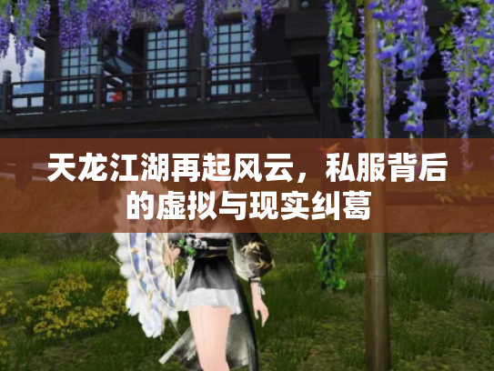 天龙江湖再起风云，私服背后的虚拟与现实纠葛