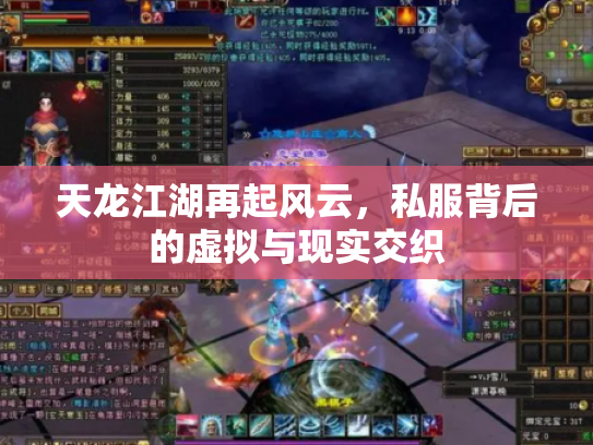 天龙江湖再起风云，私服背后的虚拟与现实交织