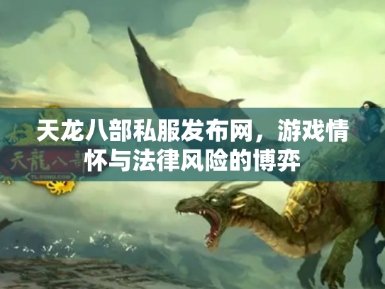天龙八部私服发布网，游戏情怀与法律风险的博弈
