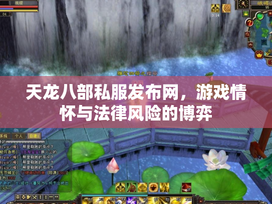 天龙八部私服发布网，游戏情怀与法律风险的博弈