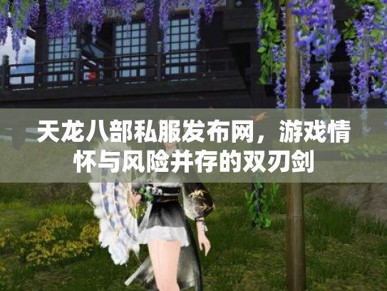 天龙八部私服发布网，游戏情怀与风险并存的双刃剑