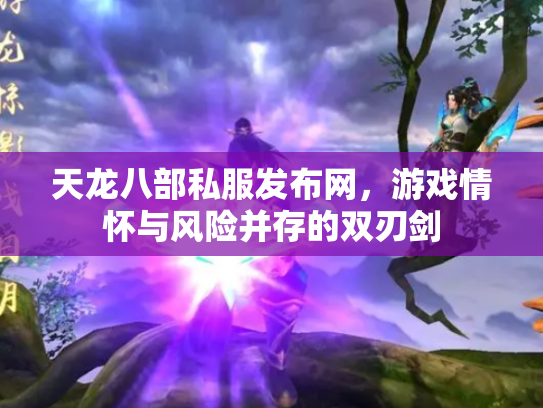 天龙八部私服发布网，游戏情怀与风险并存的双刃剑