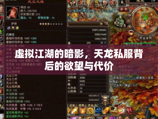 虚拟江湖的暗影，天龙私服背后的欲望与代价