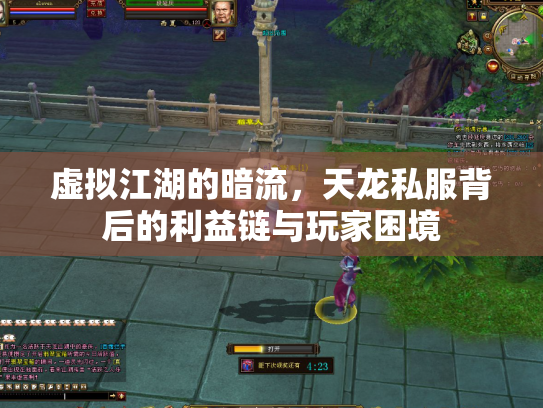 虚拟江湖的暗流，天龙私服背后的利益链与玩家困境
