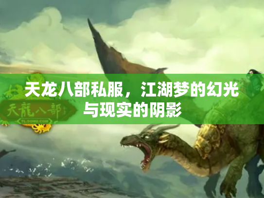 天龙八部私服，江湖梦的幻光与现实的阴影