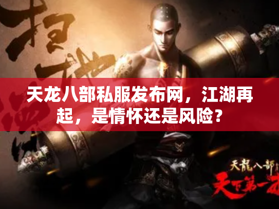 天龙八部私服发布网，江湖再起，是情怀还是风险？