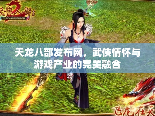 天龙八部发布网，武侠情怀与游戏产业的完美融合