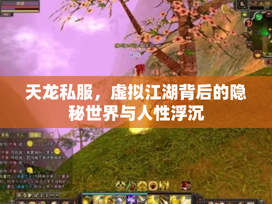 天龙私服，虚拟江湖背后的隐秘世界与人性浮沉