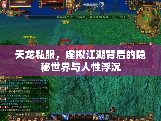 天龙私服，虚拟江湖背后的隐秘世界与人性浮沉