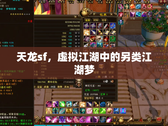 天龙sf，虚拟江湖中的另类江湖梦