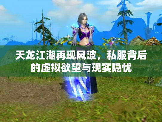 天龙江湖再现风波，私服背后的虚拟欲望与现实隐忧