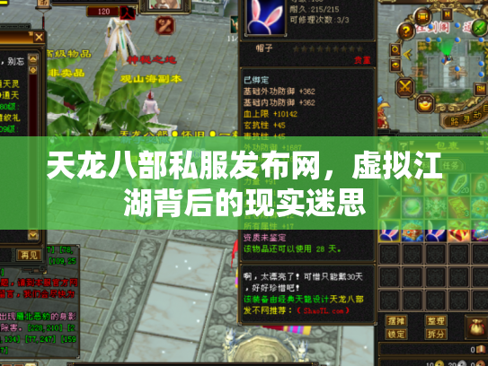 天龙八部私服发布网，虚拟江湖背后的现实迷思