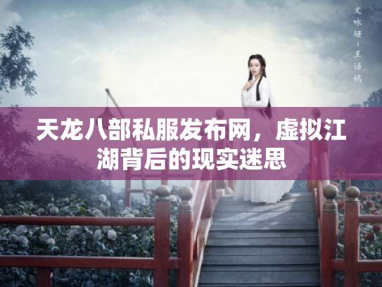 天龙八部私服发布网，虚拟江湖背后的现实迷思