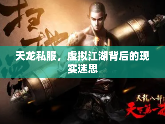 天龙私服，虚拟江湖背后的现实迷思