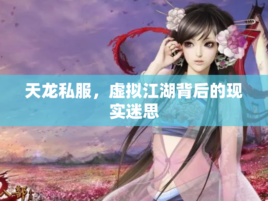 天龙私服，虚拟江湖背后的现实迷思