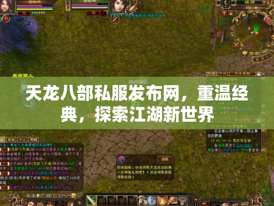 天龙八部私服发布网，重温经典，探索江湖新世界