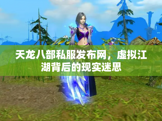 天龙八部私服发布网，虚拟江湖背后的现实迷思