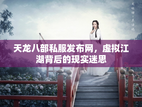 天龙八部私服发布网，虚拟江湖背后的现实迷思