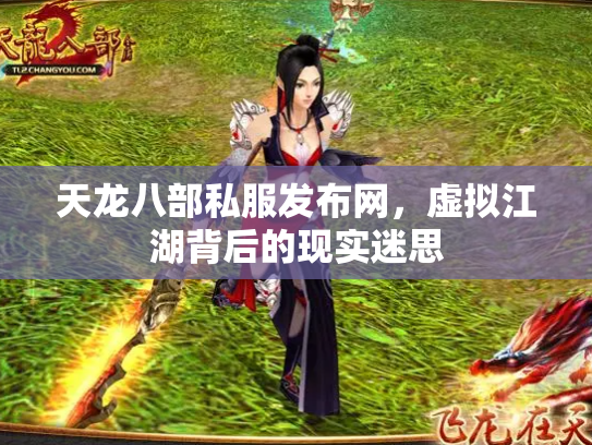 天龙八部私服发布网，虚拟江湖背后的现实迷思
