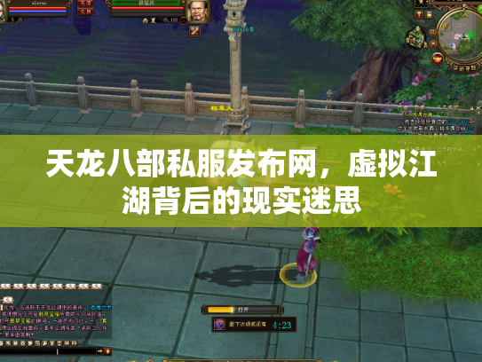 天龙八部私服发布网，虚拟江湖背后的现实迷思