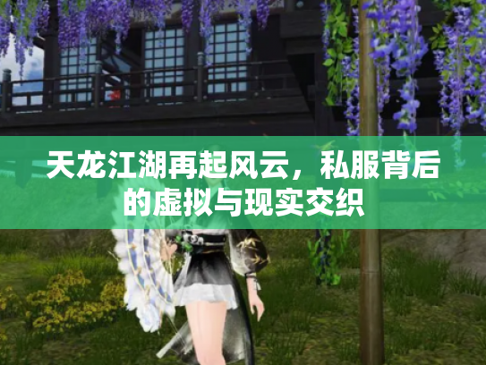 天龙江湖再起风云，私服背后的虚拟与现实交织